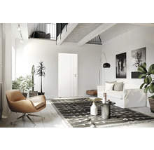 Salon avec fauteuil, canapé, tapis et porte intérieure