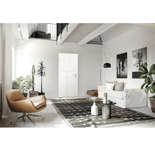 Espace de vie lumineux avec porte, fauteuil, canapé, tapis et plantes