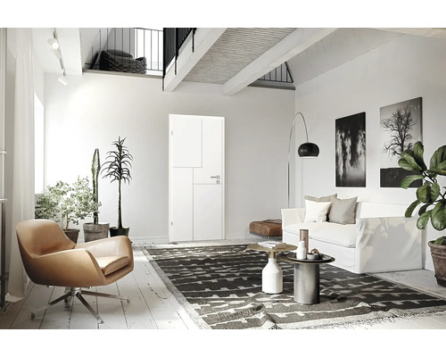 Espace de vie lumineux avec porte, fauteuil, canapé, tapis et plantes