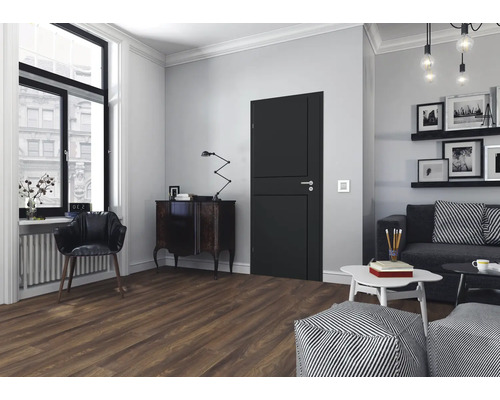 Wohnzimmer mit dunkler Innentür, Sofa und Holzfußboden