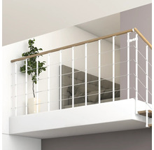 Galerie avec rampe d''escalier en bois et métal