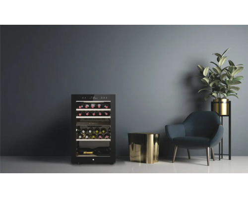 Weinregal gefüllt mit Weinflaschen in einem Zimmer mit einem Stuhl und einer Pflanze.