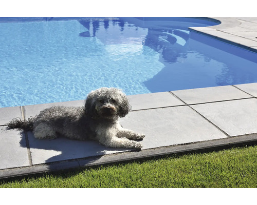 Ein Hund liegt auf Terrassenplatten neben einem Swimmingpool.