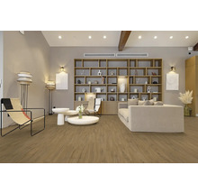 Espace de vie lumineux avec parquet, bibliothèque, canapé et fauteuils