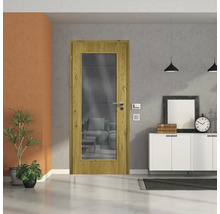 ZT Eiche Rustic Furnier Aufrecht 61x198,5 DIN Links MODERN 08 Glas Graphit