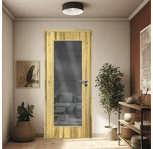 ZT Balkeneiche Furnier Aufrecht 98,5x198,5 DIN Links MODERN 08 Glas Graphit