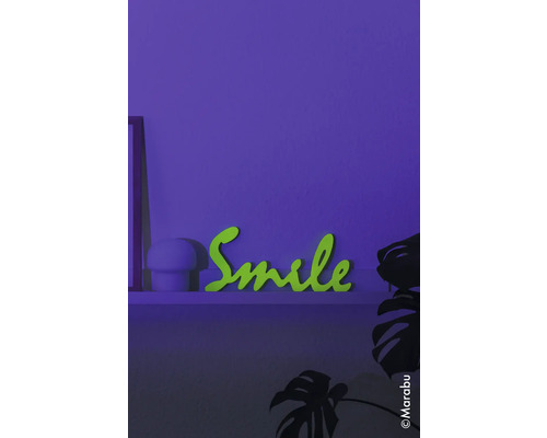 Dekoratives Schriftzugselement Smile auf einem Regal