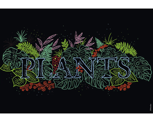 Illustration du mot plantes entouré de feuilles