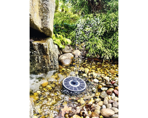 Solarbetriebener Springbrunnen im Gartenteich mit Steinen und Pflanzen.