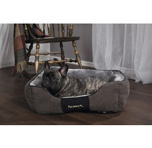 Hund im Hundebett von Scruffs