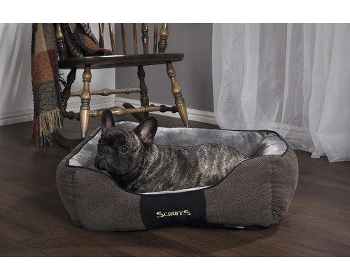 Chien dans un lit pour chien Scruffs