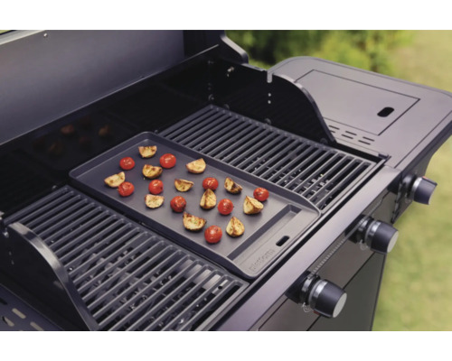 Grill avec plaque de cuisson et tomates grillées