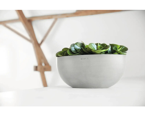 Schale mit grünen Blättern