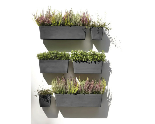 Wand mit bepflanzten Blumenkästen und Töpfen, die verschiedene Pflanzen enthalten