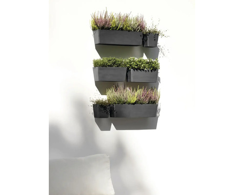 Wandbepflanzung mit Pflanzen in mehreren Pflanzkästen