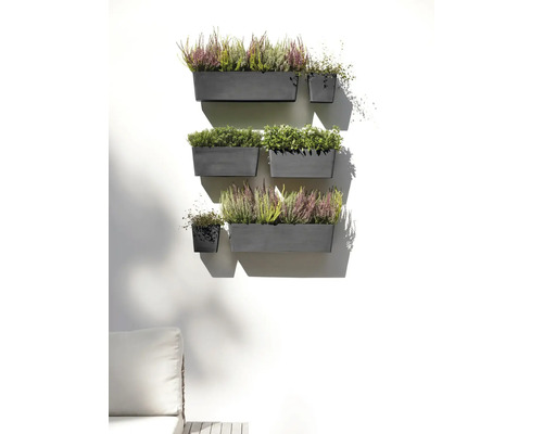 Wand mit bepflanzten Blumenkästen in verschiedenen Größen.