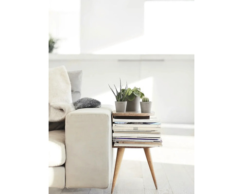 Helle Inneneinrichtung mit Couch, Beistelltisch aus Zeitschriftenstapel, Holzplatte und drei Zimmerpflanzen in Töpfen