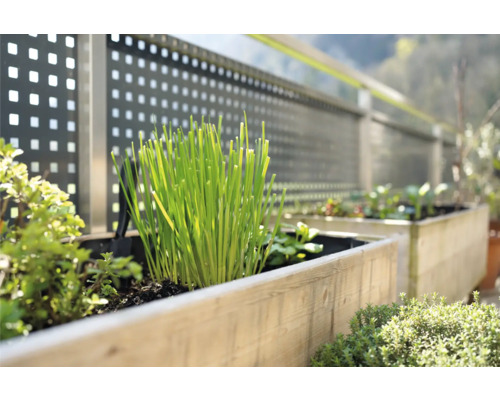 Jardinière surélevée avec diverses herbes et plantes sur une terrasse