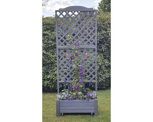 Jardinière avec treillis dans le jardin