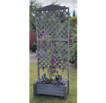 Jardinière avec treillis dans le jardin
