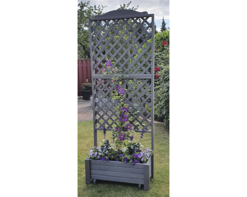 Jardinière avec treillis dans le jardin