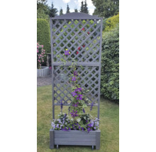 Jardinière avec treillis dans le jardin