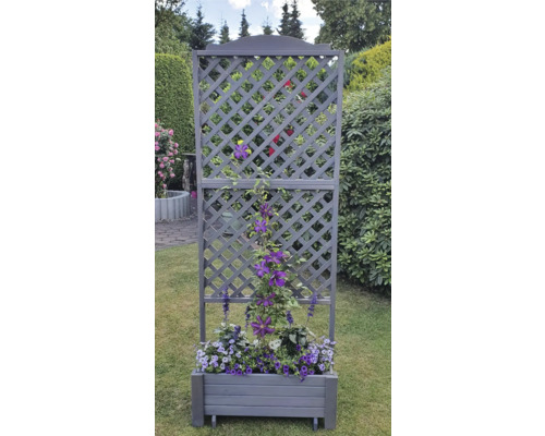 Jardinière avec treillis dans le jardin