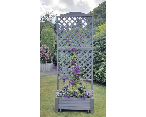 Jardinière avec treillis dans le jardin