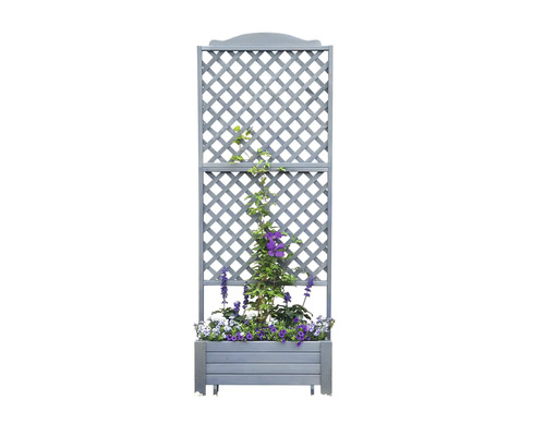 Support à plantes grimpantes avec bac à fleurs et plantes fleuries