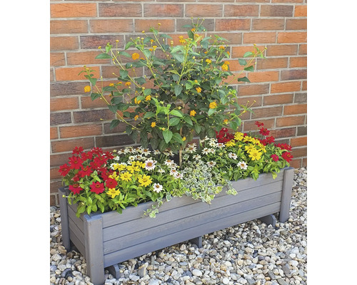 Jardinière avec fleurs d''été devant un mur en briques