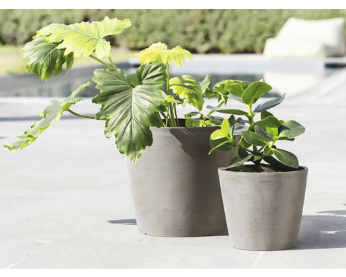 Deux pots de fleurs gris avec des plantes vertes sur une terrasse.