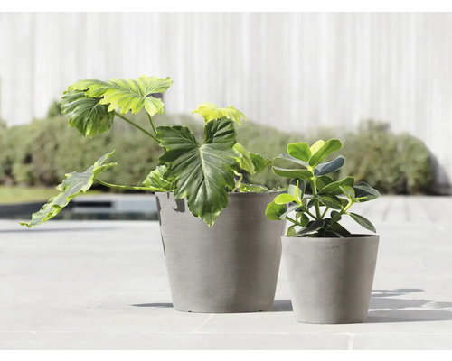 Deux pots de fleurs gris avec des plantes à l''extérieur.