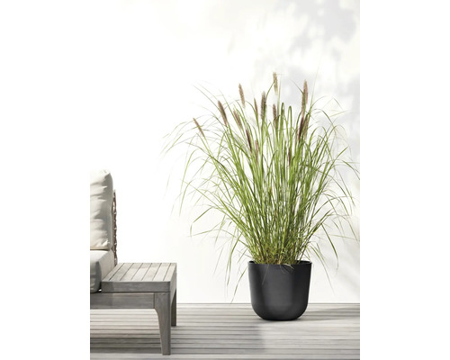 Ziergras im Topf auf einer Terrasse mit Sitzgelegenheit