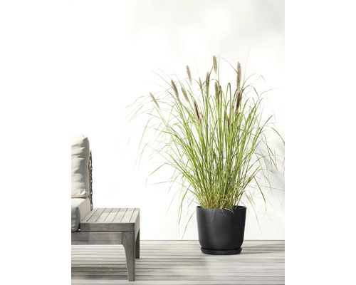 Garten mit Ziergras im Topf neben einer Sitzgruppe