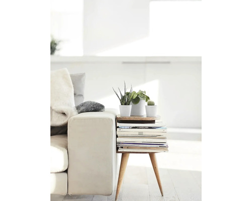 Helles Wohnzimmer mit Sofa und Beistelltisch aus Büchern mit Pflanzen