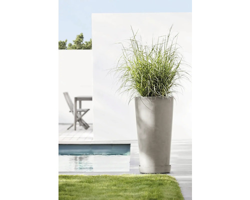 Haut pot de fleurs avec graminées ornementales dans un jardin