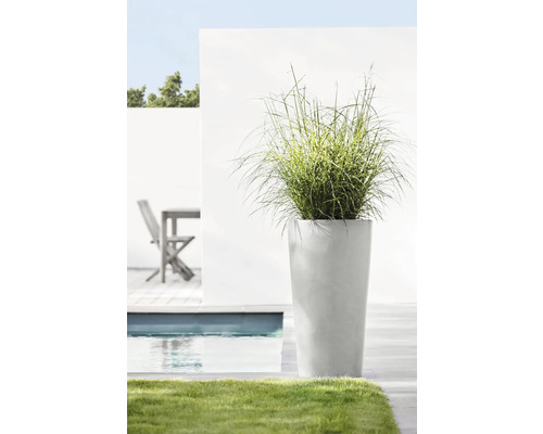 Hoher Pflanzkübel mit Ziergras neben einem Pool im Garten