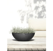 Blumentopf Ecopots Kunststoff Ø 48,2 cm 50,4 x 50,4 x 18,5 cm grau