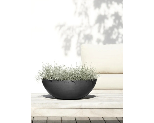 Coupe à plantes demi-ronde avec des plantations sur une table en bois