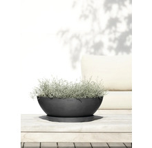 Blumentopf Ecopots Kunststoff Ø 48,2 cm 50,4 x 50,4 x 18,5 cm grau