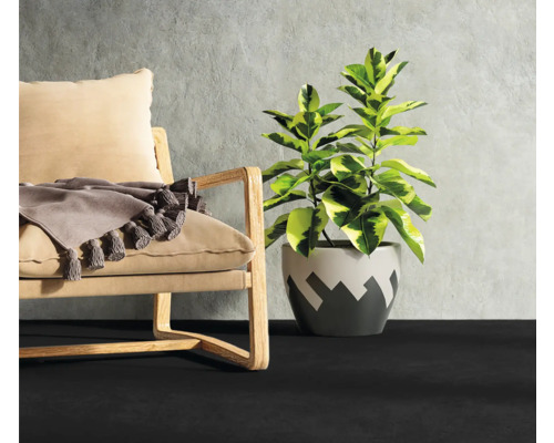 Scène d''intérieur avec fauteuil, plante d''intérieur et revêtement de sol foncé.