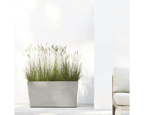 Jardinière rectangulaire avec graminées ornementales