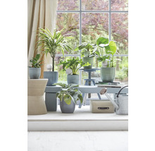 Bewässerung !-Drop Nature Soendgen Keramik 230 ml 8,5 x 19 cm grau