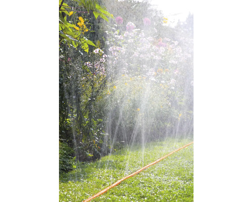 Bewässerung eines Gartens mit Rasen und Blumen mit einem Gartenschlauch