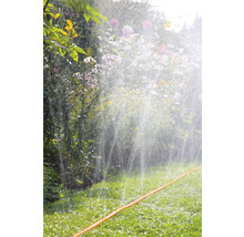 Arrosage d''un jardin avec un tuyau d''arrosage