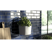 Mur avec carreaux rectangulaires, pot d''herbes aromatiques et planche à découper