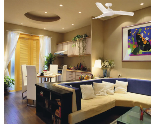 Salon avec ventilateur de plafond, canapé, table à manger et kitchenette