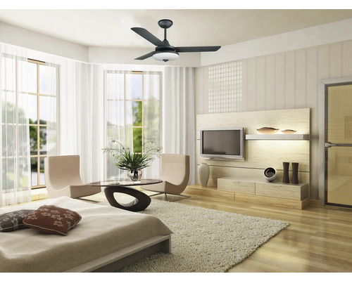 Heller Wohnraum mit Deckenventilator, Fernseher und Sitzecke