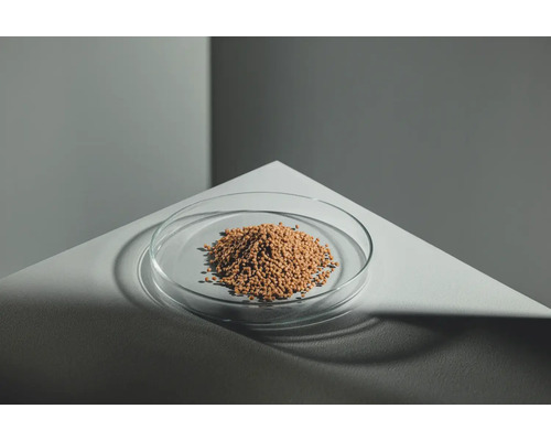 Braune Kügelchen in einer Glasschale