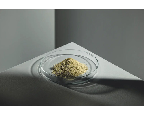 Helle Holzspäne in einer Glasschale